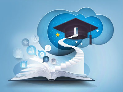 Curriculum Architecture Insights